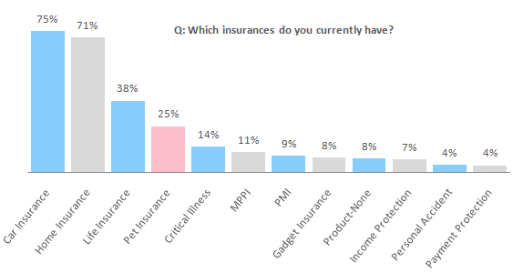 Insurance Policies Q: Which insurances do you currently have?
